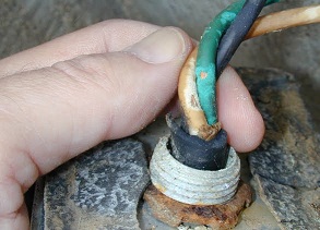 Fireant damage to wires